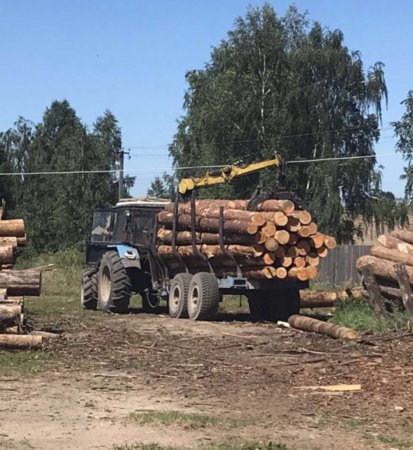 В Слуцком районе индивидуальный предприниматель подозревается в краже лесоматериала